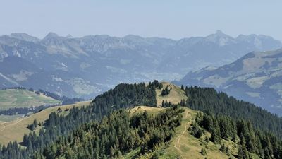 Ausblick vom Hundsrügg ins Simmental 