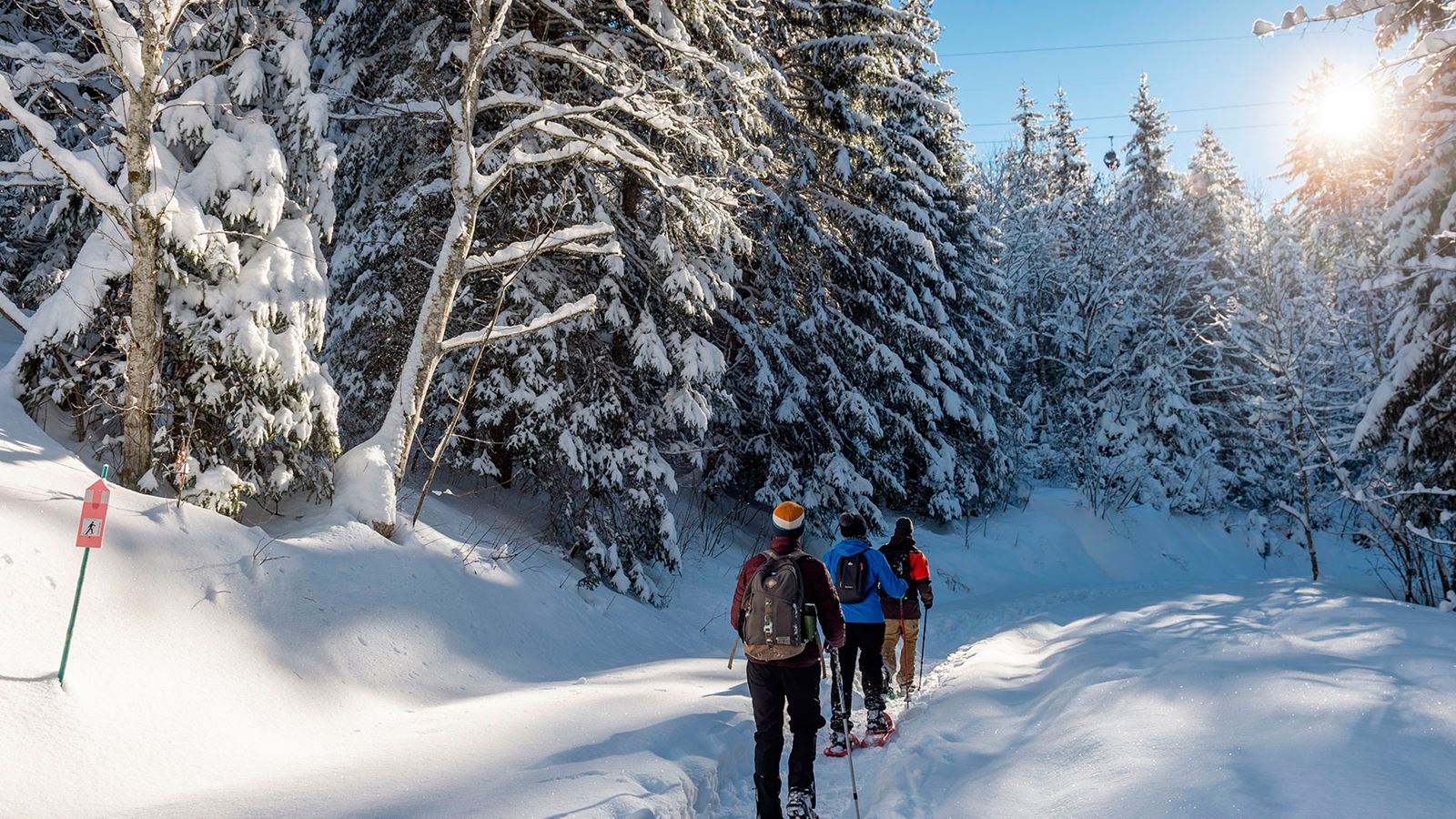 Snowshoeing in the forests of Charmey