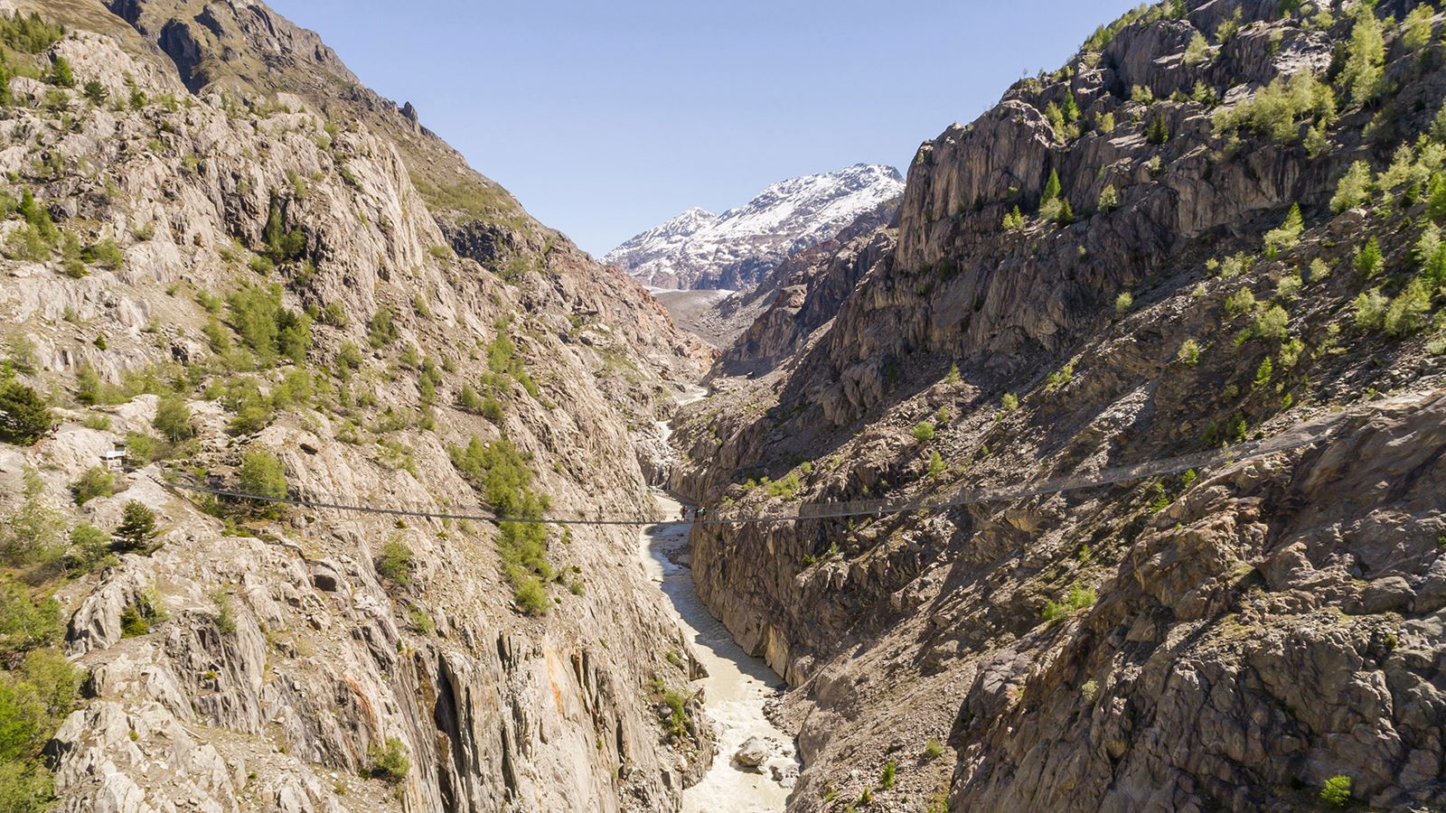 Aletsch Glacier suspension bridge