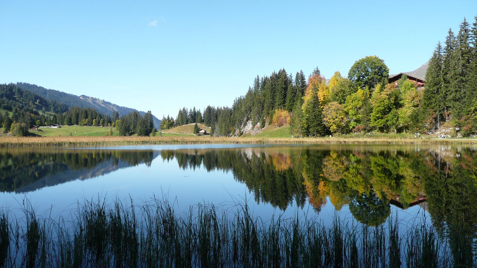 Blick auf den Lauenensee und farbenprächtige Bäume