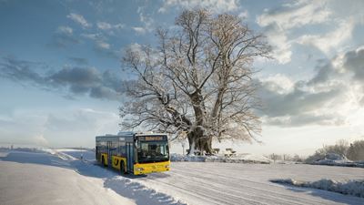 Postauto vor verschneiter Linde