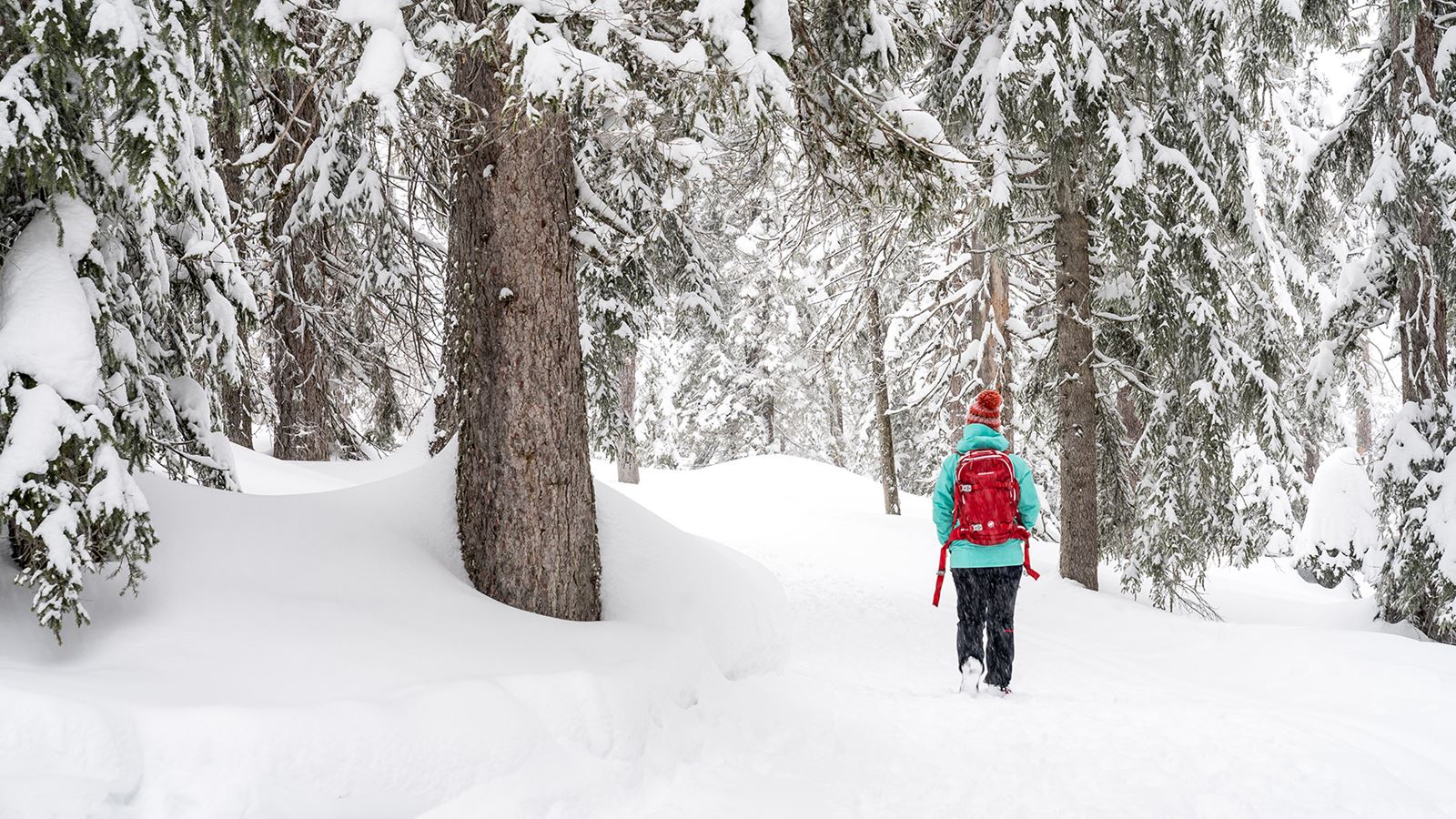 Una persona durante un’escursione invernale nel bosco