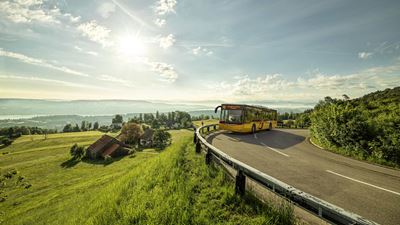 Das Postauto fährt auf der Albispassstrasse mit Blick auf den Zürichsee.