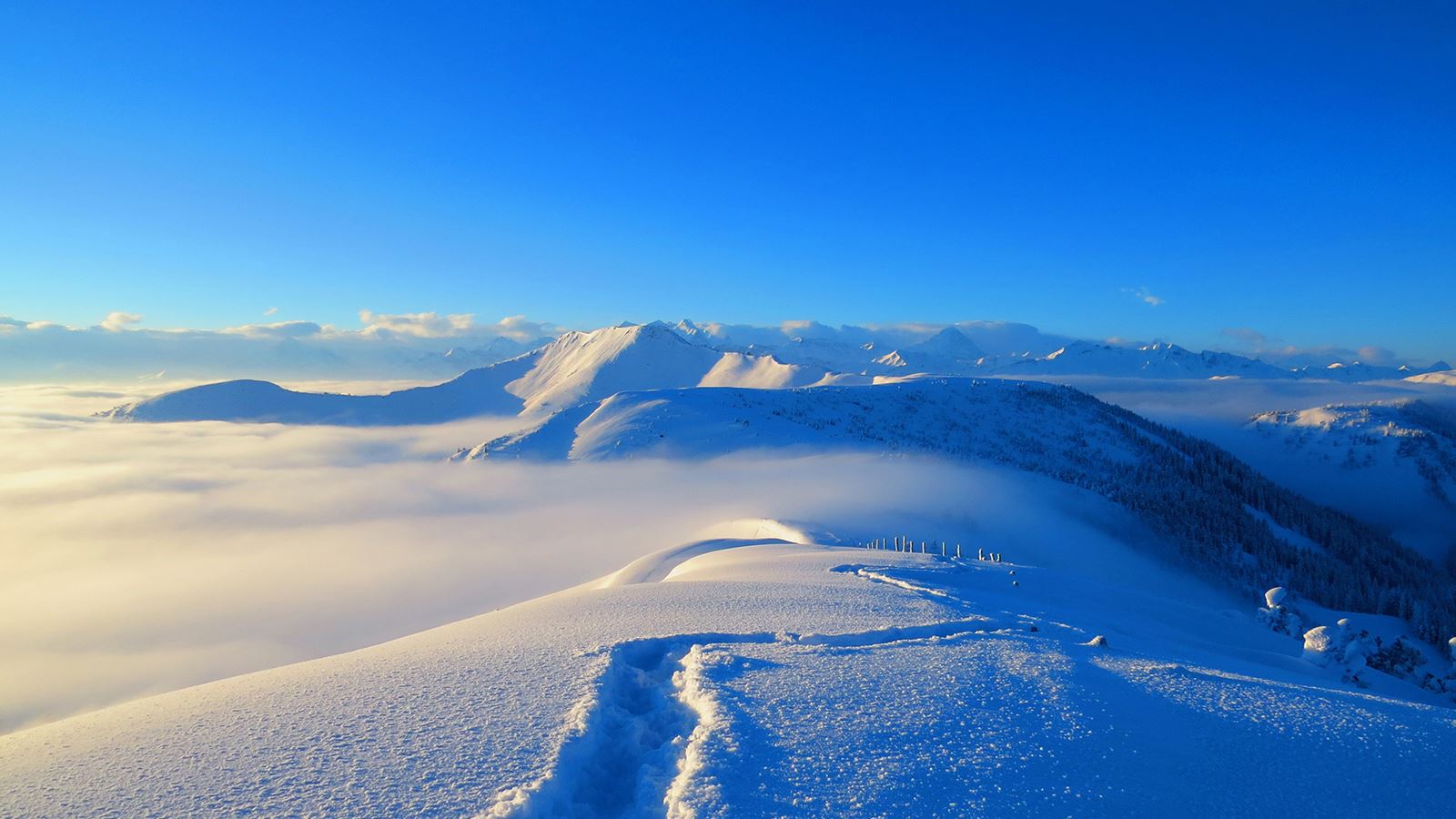 A snowy landscape with blue sky.