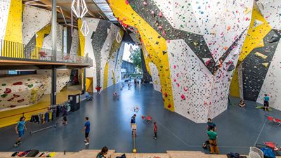 Various people standing and climbing at the Griffig climbing center in Uster.