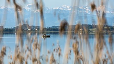View of Lake Pfäffikon and the mountains from the Lake Pfäffikon circular trail.