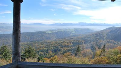 View of the Sihlwald forest and the Alps from the Albis-Hochwacht observation tower.