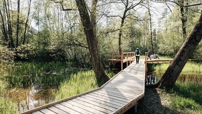 Wooden walkway in Thurauen Nature Center on the “Via Natura” hiking trail.