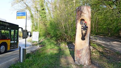 An der PostAuto-Haltestelle steht ein Baumstamm mit einem aus Holz geschnitzten Mittelspecht.
