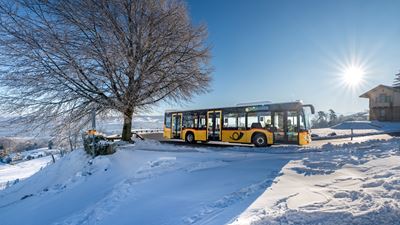 Ein gelbes Postauto fährt bei Sonnenschein durch die verschneite Landschaft auf dem Albispass.