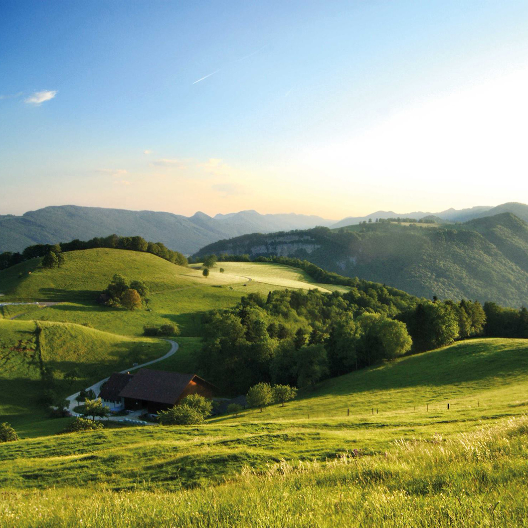 View of a green hilly landscape with trees from the Beretenchopf hill in the Thal Nature Park.
