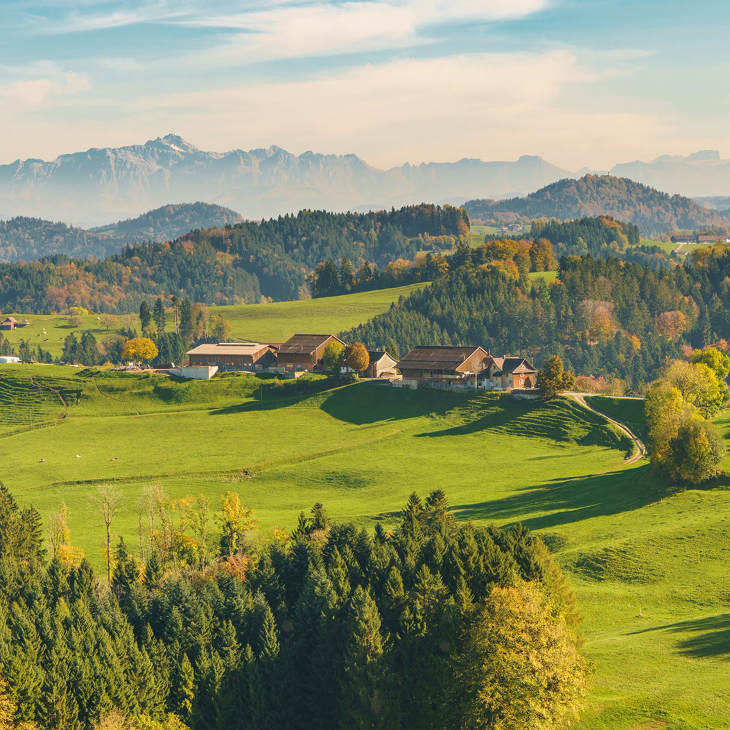 View from Sternenberg of a green landscape with trees and the Alps.