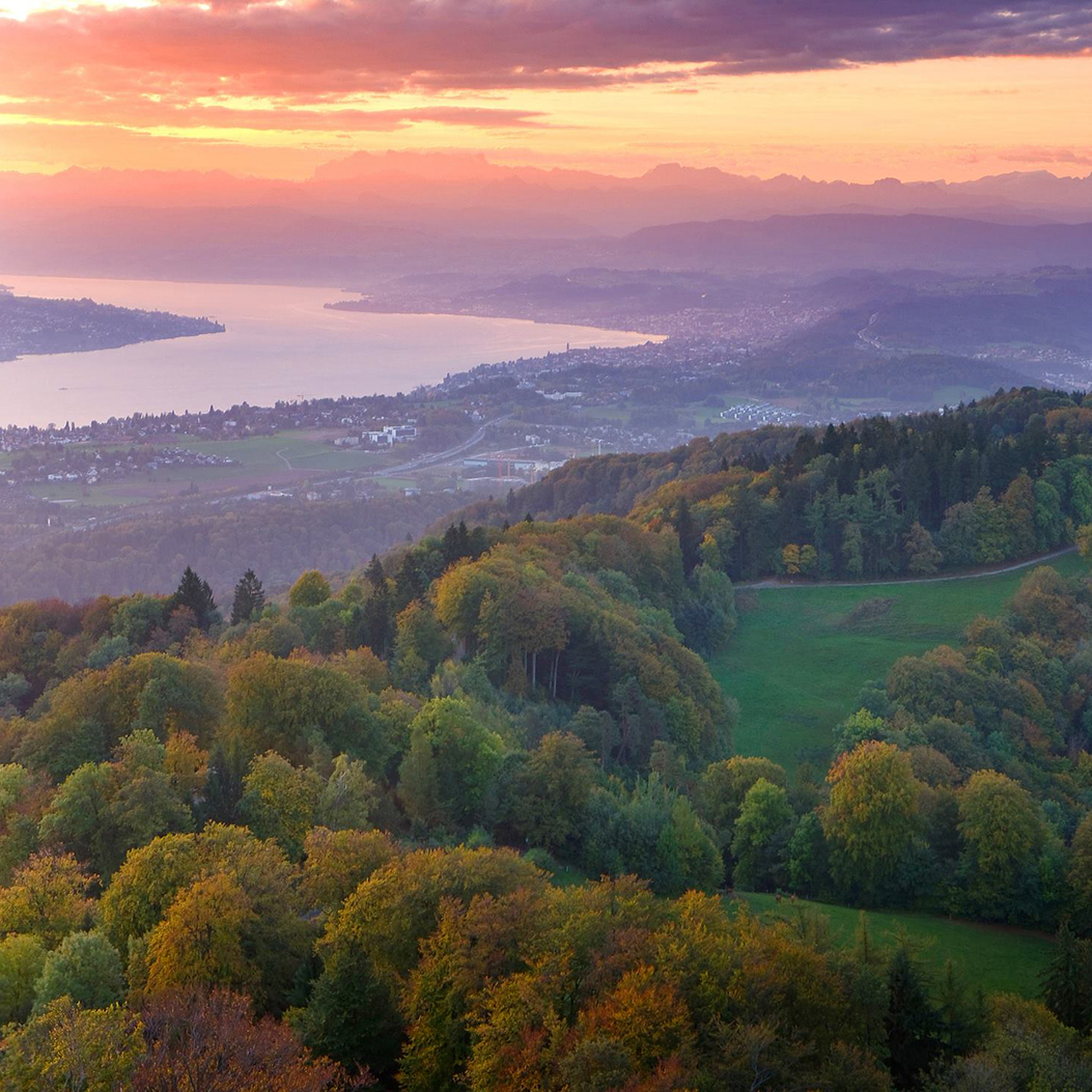 View from Uetliberg at sunset over a landscape with trees and Lake Zurich.
