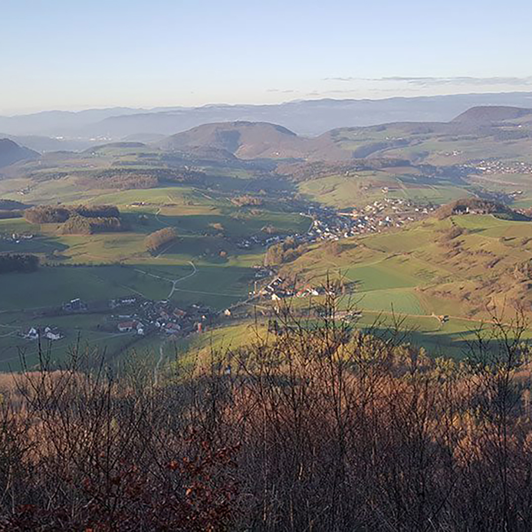 View of a green hilly landscape from the Zeiher Homberg in the Argovia Jurapark.