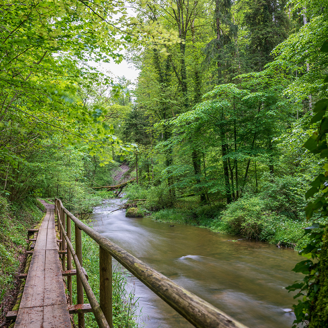 A small wooden bridge in the forest in the Jonental valley next to the Jonenbach river.