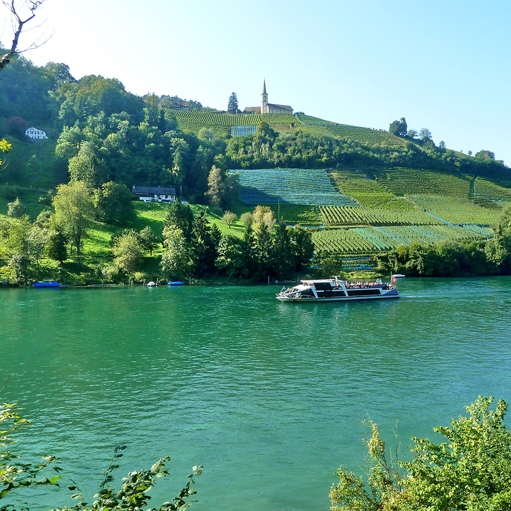 View of the Rhine from the Tössegg with a ship and vineyards in the background.