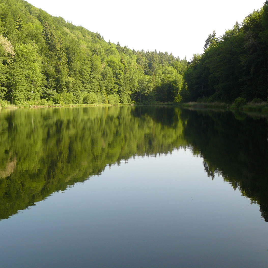 Reflecting Egelsee lake surrounded by a tree landscape.