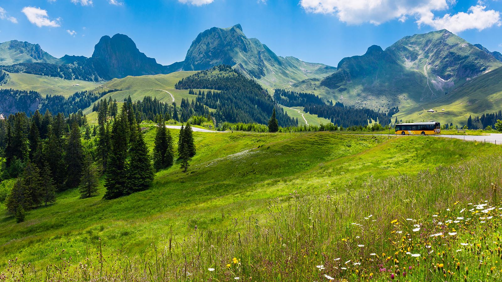 Postbus on the road. A meadow with flowers in the foreground and the Gantrisch mountain range in the background.