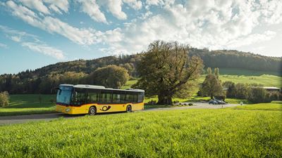 Postbus in front of a mighty summer lime tree