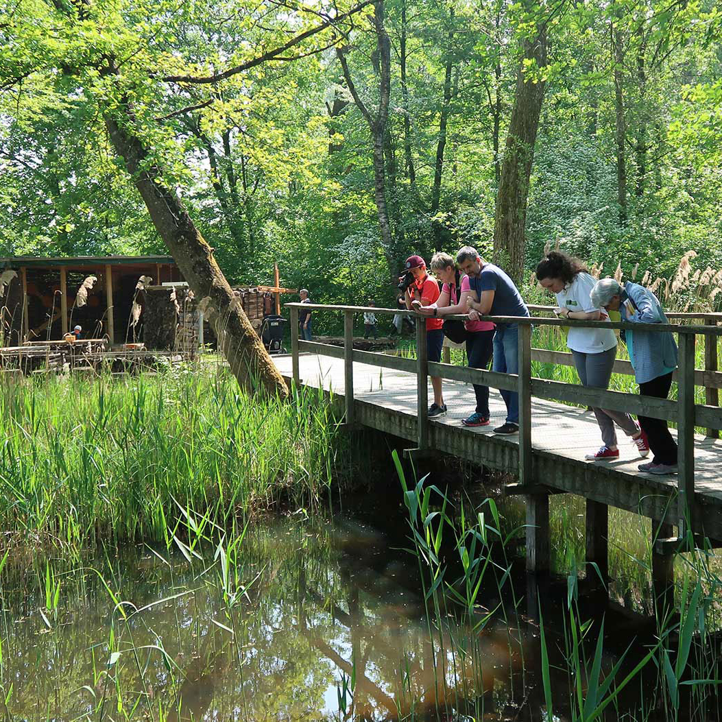 Visitors to the experience park