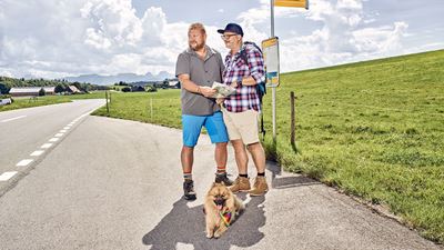 Travelling with a dog