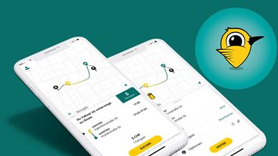 A screenshot of the PubliCar App can be seen.